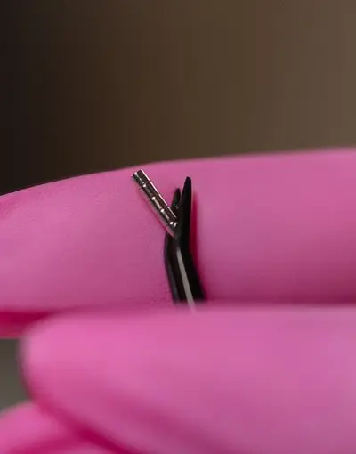 Magnet for Cat Eye 1